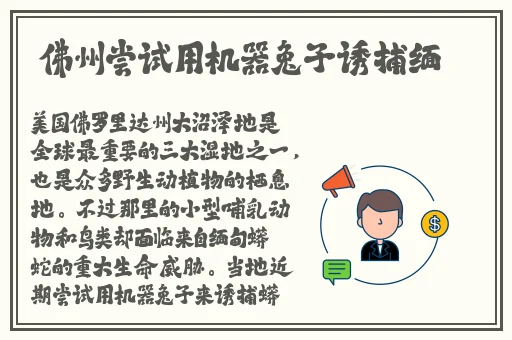 好男人视频在线观看免费